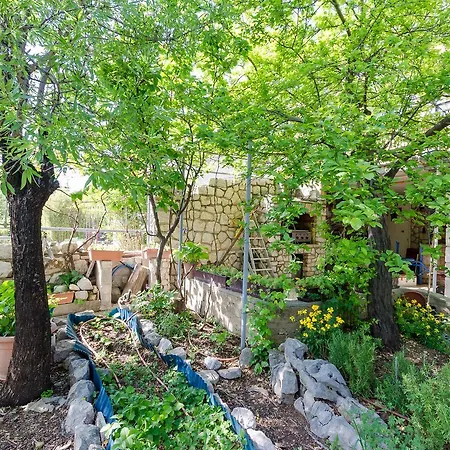 Διαμέρισμα And Drazen